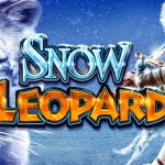 Snow Leopard slot online
