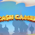 Cash Camel
